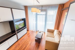 C-418_2020_pronajem_apartmany_Praha_Albertov_Rental_Apartments-02