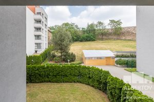 D-217_pronajem_apartmany_Praha_Albertov_Rental_Apartments_2018-14