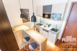 D-433_2020_pronajem_apartmany_Praha_Albertov_Rental_Apartments-09