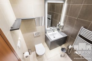 D-433_2020_pronajem_apartmany_Praha_Albertov_Rental_Apartments-10