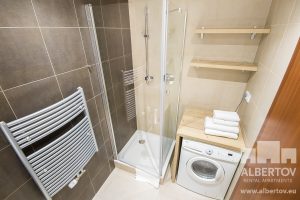 D-433_2020_pronajem_apartmany_Praha_Albertov_Rental_Apartments-11