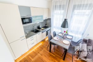 E-528_2020_pronajem_apartmany_Praha_Albertov_Rental_Apartments-05