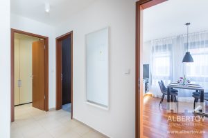 E-528_2020_pronajem_apartmany_Praha_Albertov_Rental_Apartments-13