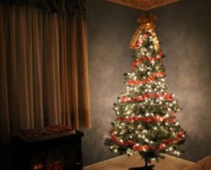Ideální vánoční strom: tipy, jak ho získat, zdobit a správně zrecyklovat