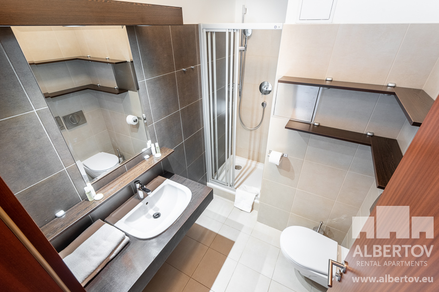 E-632_2021_pronajem_apartmany_Praha_Albertov_Rental_Apartments-10